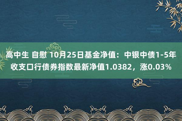 高中生 自慰 10月25日基金净值：中银中债1-5年收支口行债券指数最新净值1.0382，涨0.03%