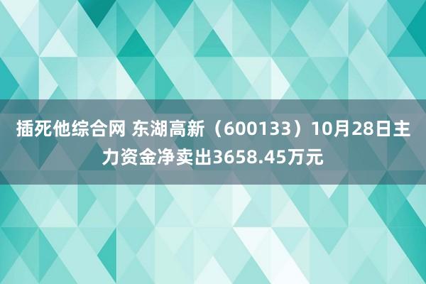 插死他综合网 东湖高新（600133）10月28日主力资金净卖出3658.45万元