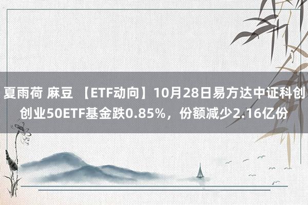 夏雨荷 麻豆 【ETF动向】10月28日易方达中证科创创业50ETF基金跌0.85%，份额减少2.16亿份