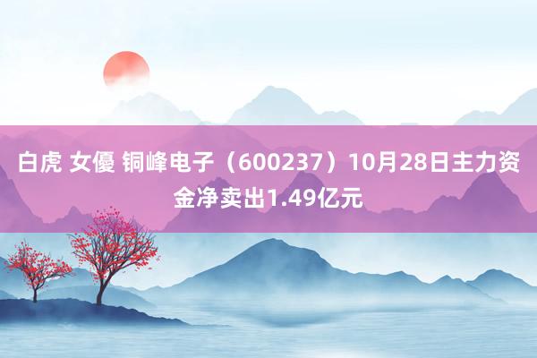 白虎 女優 铜峰电子（600237）10月28日主力资金净卖出1.49亿元