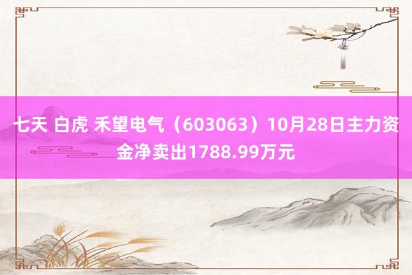 七天 白虎 禾望电气（603063）10月28日主力资金净卖出1788.99万元