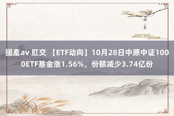 國產av 肛交 【ETF动向】10月28日中原中证1000ETF基金涨1.56%，份额减少3.74亿份