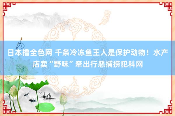 日本撸全色网 千条冷冻鱼王人是保护动物！水产店卖“野味”牵出行恶捕捞犯科网