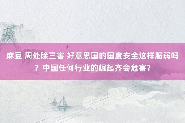 麻豆 周处除三害 好意思国的国度安全这样脆弱吗？中国任何行业的崛起齐会危害？