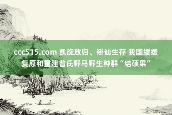 ccc515.com 凯旋放归、褂讪生存 我国缓缓复原和重建普氏野马野生种群“结硕果”