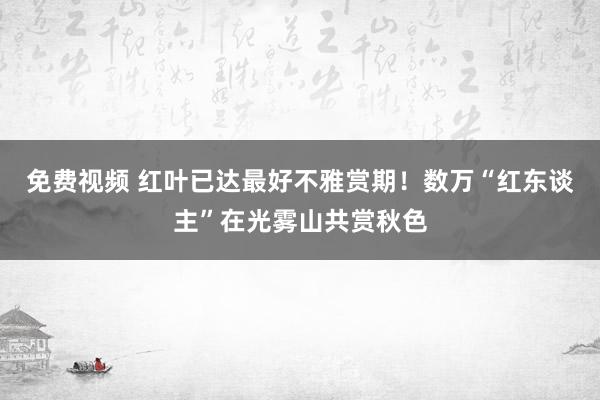 免费视频 红叶已达最好不雅赏期！数万“红东谈主”在光雾山共赏秋色