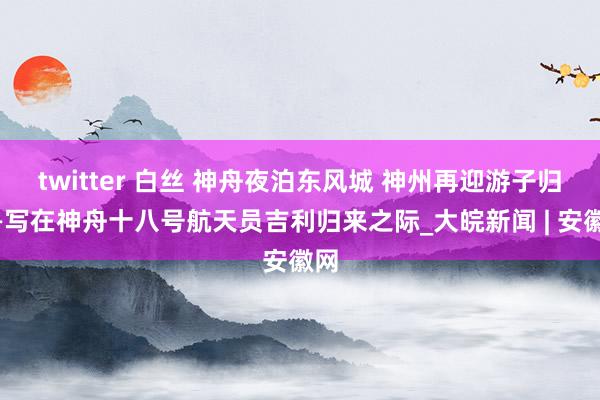 twitter 白丝 神舟夜泊东风城 神州再迎游子归——写在神舟十八号航天员吉利归来之际_大皖新闻 | 安徽网