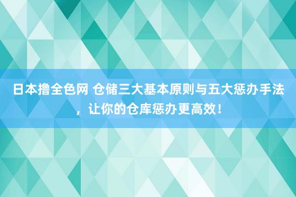 日本撸全色网 仓储三大基本原则与五大惩办手法，让你的仓库惩办更高效！