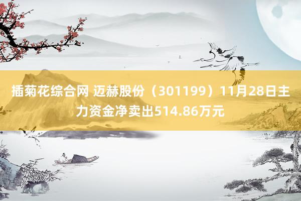 插菊花综合网 迈赫股份（301199）11月28日主力资金净卖出514.86万元