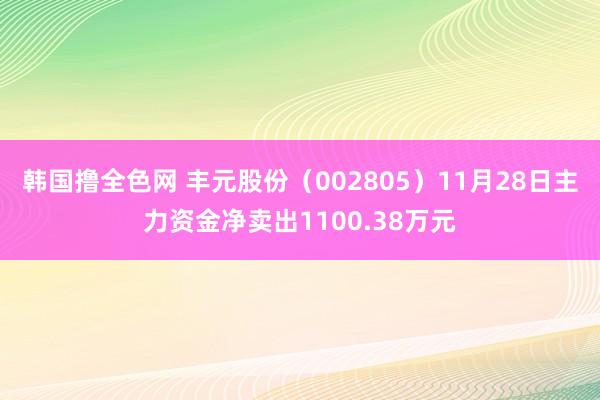 韩国撸全色网 丰元股份（002805）11月28日主力资金净卖出1100.38万元