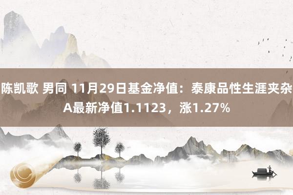 陈凯歌 男同 11月29日基金净值：泰康品性生涯夹杂A最新净值1.1123，涨1.27%