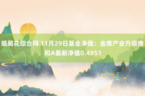 插菊花综合网 11月29日基金净值：金鹰产业升级搀和A最新净值0.4951