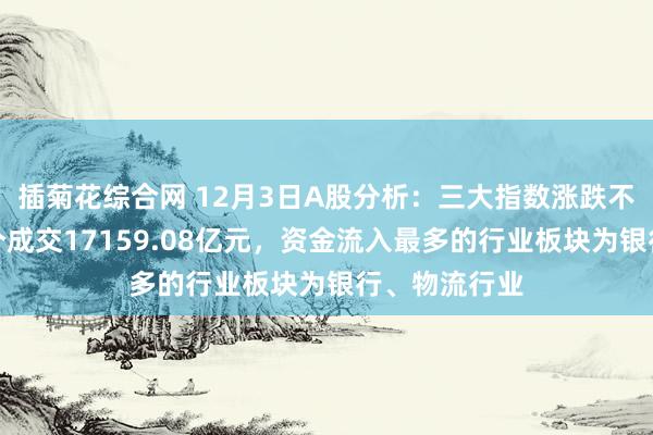 插菊花综合网 12月3日A股分析：三大指数涨跌不一，两市整个成交17159.08亿元，资金流入最多的行业板块为银行、物流行业