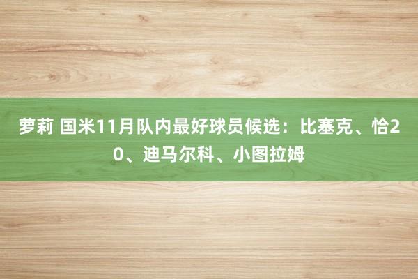 萝莉 国米11月队内最好球员候选：比塞克、恰20、迪马尔科、小图拉姆