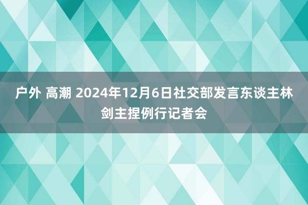 户外 高潮 2024年12月6日社交部发言东谈主林剑主捏例行记者会