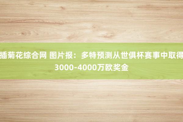 插菊花综合网 图片报：多特预测从世俱杯赛事中取得3000-4000万欧奖金