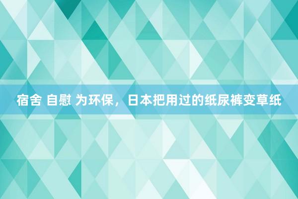 宿舍 自慰 为环保，日本把用过的纸尿裤变草纸