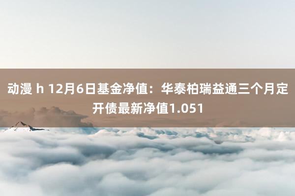 动漫 h 12月6日基金净值：华泰柏瑞益通三个月定开债最新净值1.051