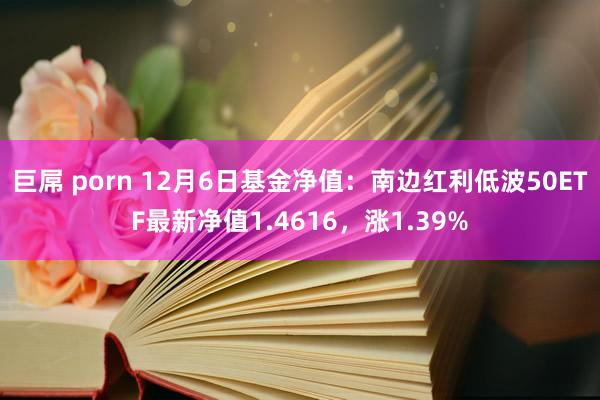 巨屌 porn 12月6日基金净值：南边红利低波50ETF最新净值1.4616，涨1.39%