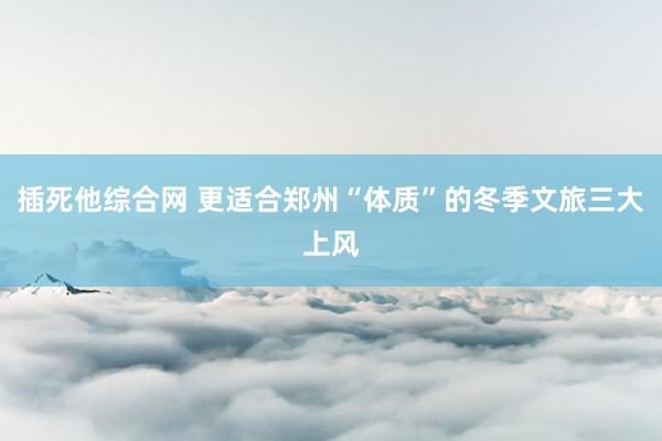 插死他综合网 更适合郑州“体质”的冬季文旅三大上风