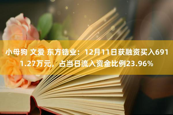 小母狗 文爱 东方锆业：12月11日获融资买入6911.27万元，占当日流入资金比例23.96%