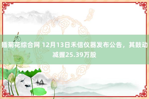 插菊花综合网 12月13日禾信仪器发布公告，其鼓动减握25.39万股