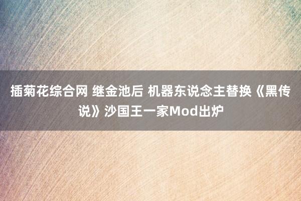 插菊花综合网 继金池后 机器东说念主替换《黑传说》沙国王一家Mod出炉