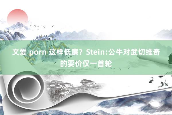 文爱 porn 这样低廉？Stein:公牛对武切维奇的要价仅一首轮