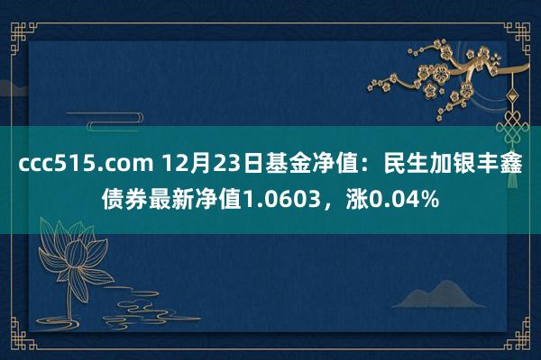 ccc515.com 12月23日基金净值：民生加银丰鑫债券最新净值1.0603，涨0.04%