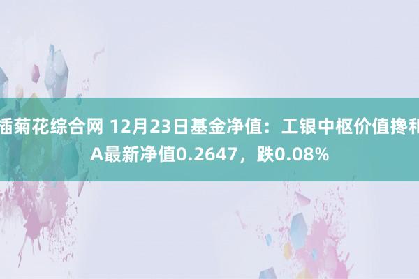 插菊花综合网 12月23日基金净值：工银中枢价值搀和A最新净值0.2647，跌0.08%