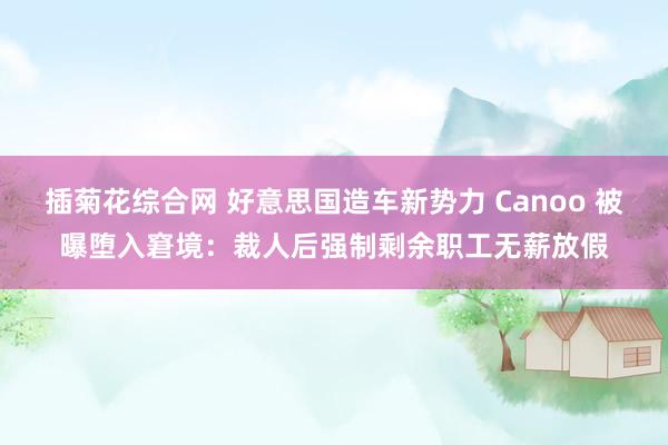 插菊花综合网 好意思国造车新势力 Canoo 被曝堕入窘境：裁人后强制剩余职工无薪放假