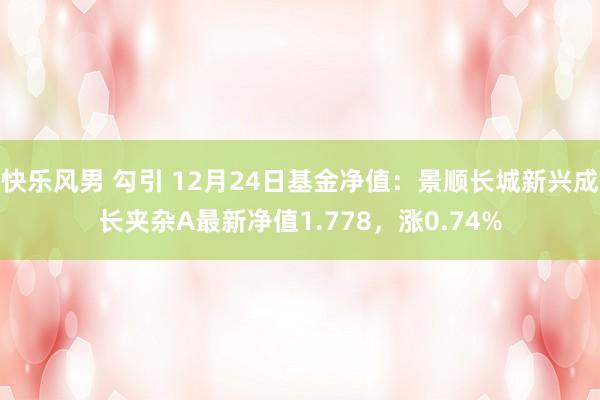 快乐风男 勾引 12月24日基金净值：景顺长城新兴成长夹杂A最新净值1.778，涨0.74%