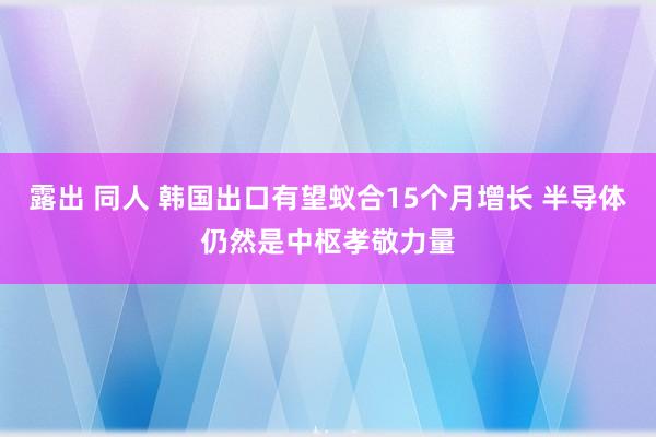 露出 同人 韩国出口有望蚁合15个月增长 半导体仍然是中枢孝敬力量