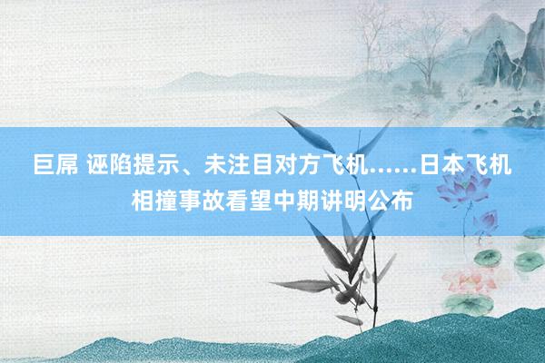 巨屌 诬陷提示、未注目对方飞机......日本飞机相撞事故看望中期讲明公布