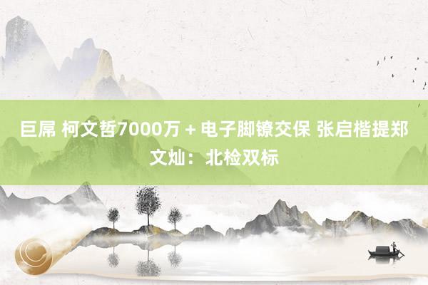 巨屌 柯文哲7000万＋电子脚镣交保 张启楷提郑文灿：北检双标