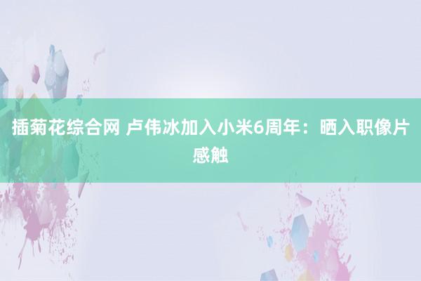 插菊花综合网 卢伟冰加入小米6周年：晒入职像片感触