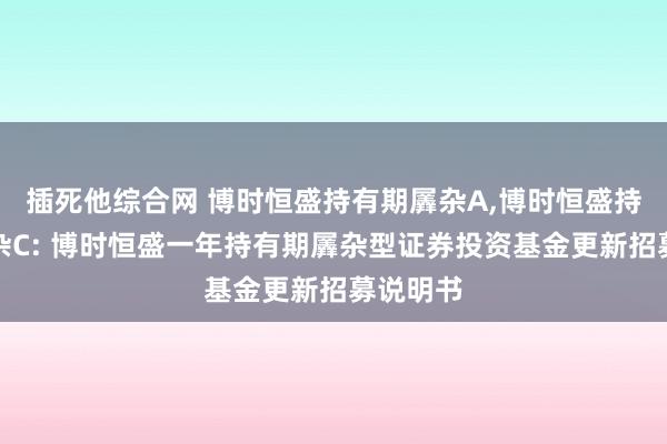 插死他综合网 博时恒盛持有期羼杂A，博时恒盛持有期羼杂C: 博时恒盛一年持有期羼杂型证券投资基金更新招募说明书