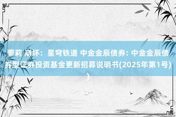 萝莉 崩坏：星穹铁道 中金金辰债券: 中金金辰债券型证券投资基金更新招募说明书(2025年第1号)