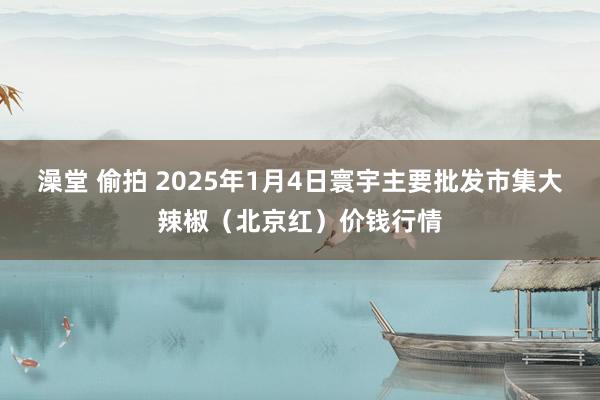 澡堂 偷拍 2025年1月4日寰宇主要批发市集大辣椒（北京红）价钱行情