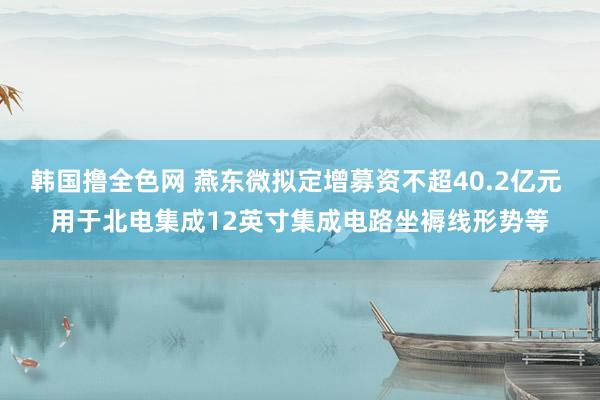 韩国撸全色网 燕东微拟定增募资不超40.2亿元 用于北电集成12英寸集成电路坐褥线形势等