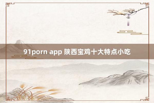 91porn app 陕西宝鸡十大特点小吃