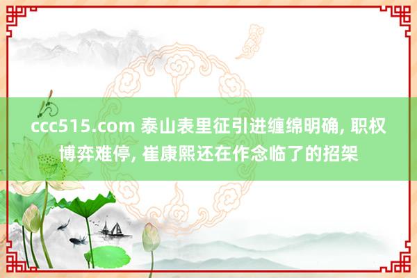 ccc515.com 泰山表里征引进缠绵明确， 职权博弈难停， 崔康熙还在作念临了的招架