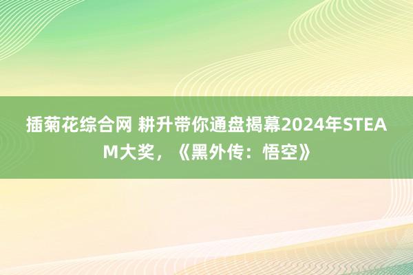 插菊花综合网 耕升带你通盘揭幕2024年STEAM大奖，《黑外传：悟空》