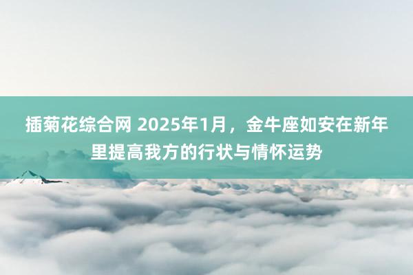 插菊花综合网 2025年1月，金牛座如安在新年里提高我方的行状与情怀运势