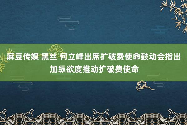 麻豆传媒 黑丝 何立峰出席扩破费使命鼓动会指出 加纵欲度推动扩破费使命