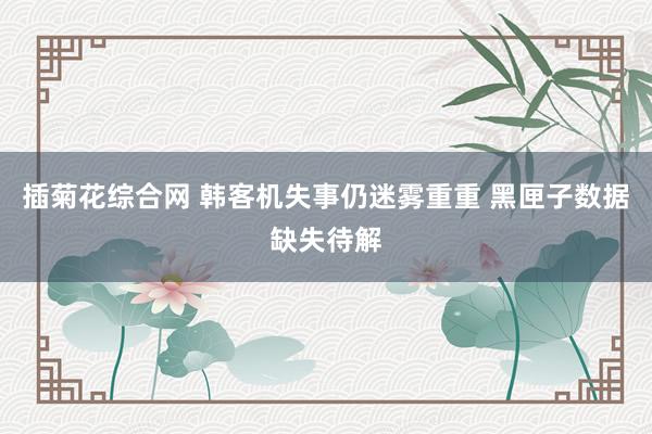 插菊花综合网 韩客机失事仍迷雾重重 黑匣子数据缺失待解