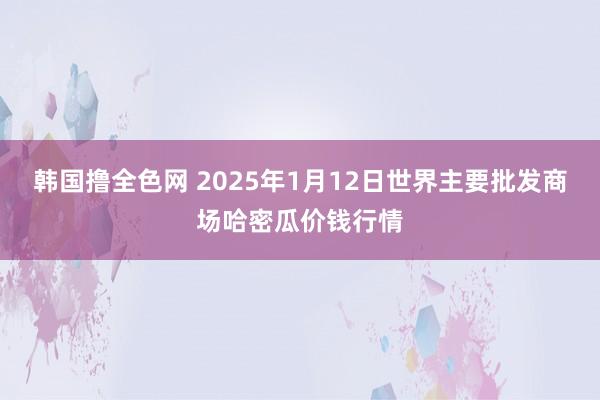 韩国撸全色网 2025年1月12日世界主要批发商场哈密瓜价钱行情