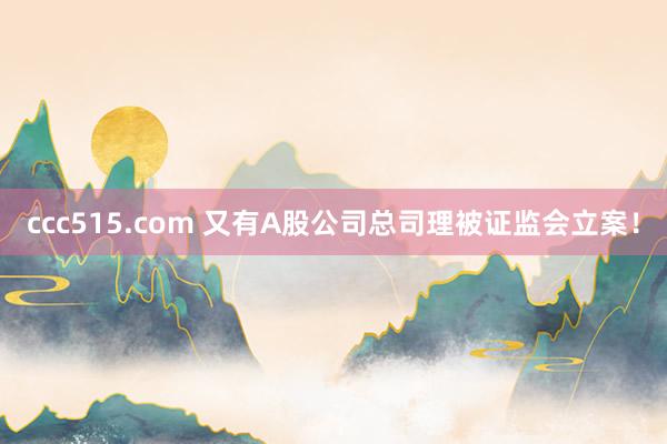 ccc515.com 又有A股公司总司理被证监会立案！