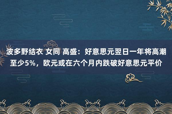 波多野结衣 女同 高盛：好意思元翌日一年将高潮至少5%，欧元或在六个月内跌破好意思元平价