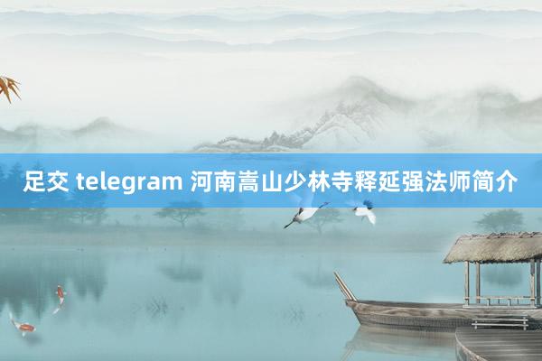 足交 telegram 河南嵩山少林寺释延强法师简介